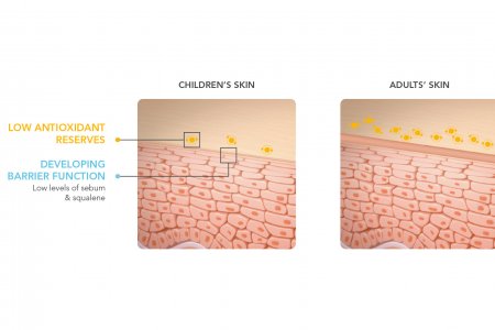 Graphical representation of the difference between a child's skin barrier and an adult's.